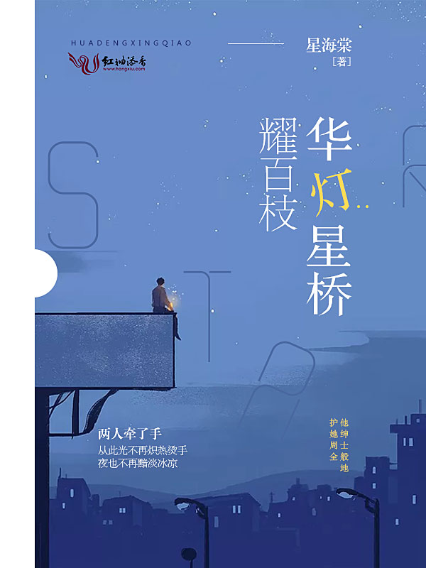 华灯星桥耀百枝