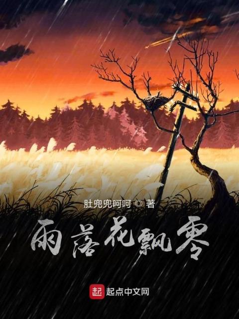雨落花飘零