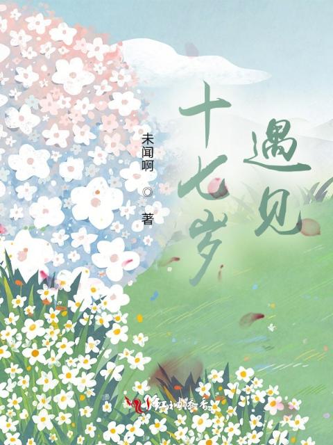 十七岁，遇见