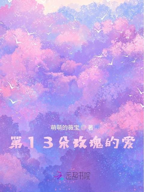 第13朵玫瑰的爱