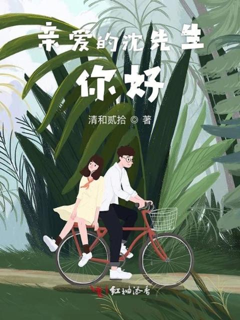 亲爱的沈先生你好
