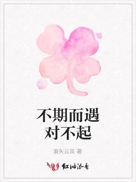 不期而遇对不起