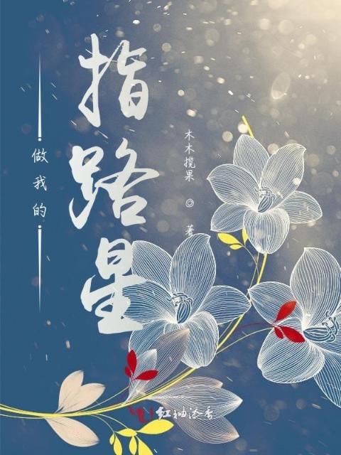 做我的指路星