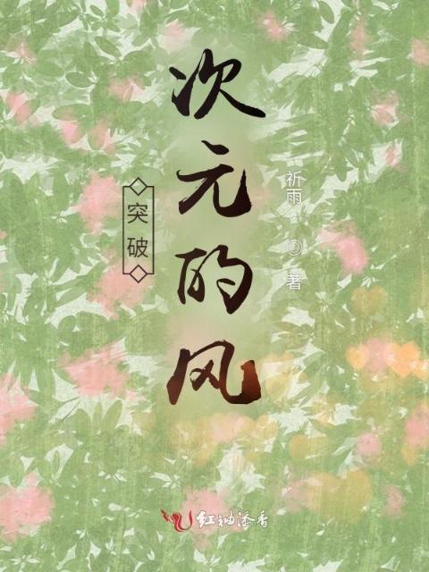 突破次元的风