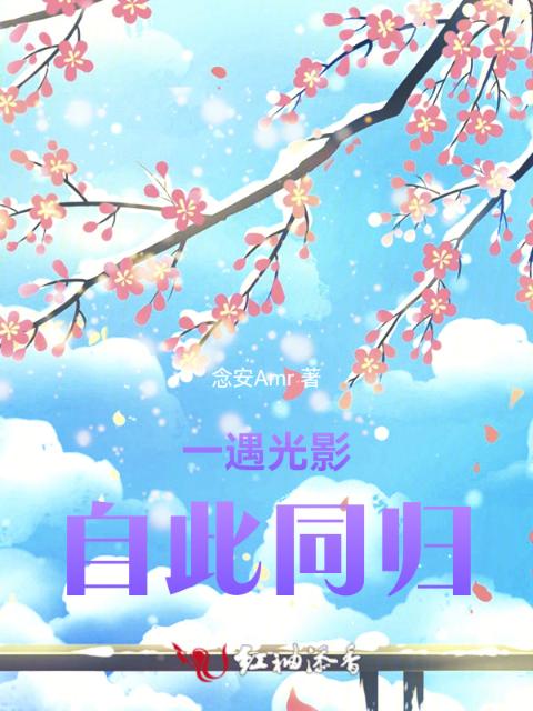 一遇光影，自此同归