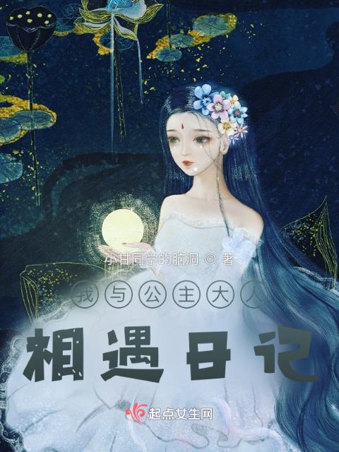我与公主大人相遇日记