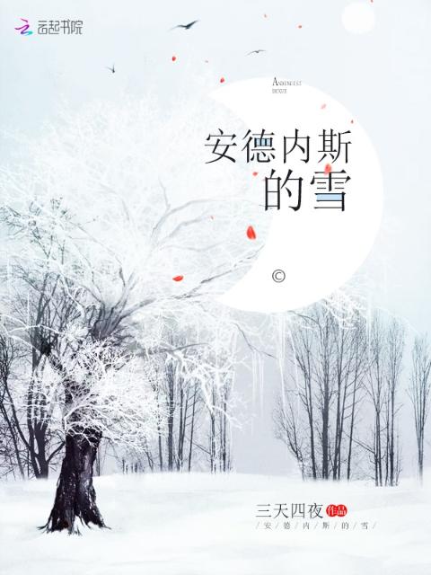 安德内斯的雪