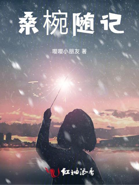 桑椀随记