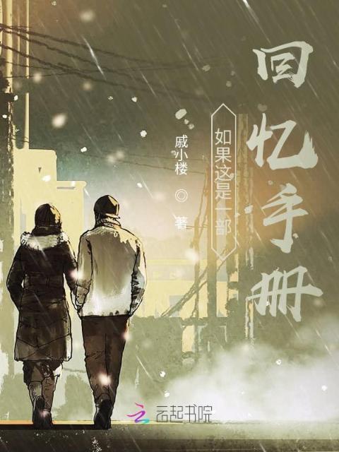 如果这是一部回忆手册