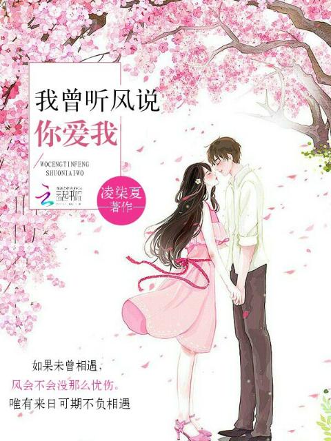 我曾听风说你爱我