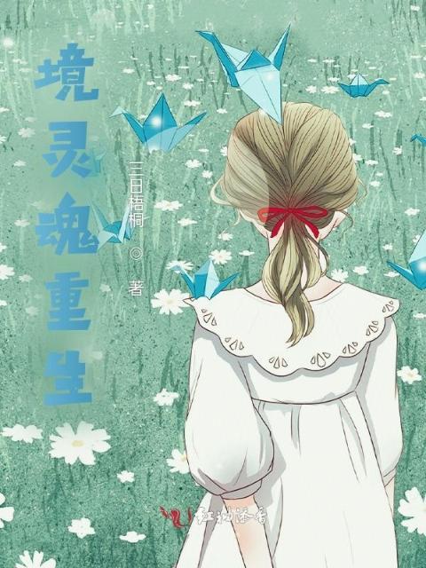 境灵魂重生