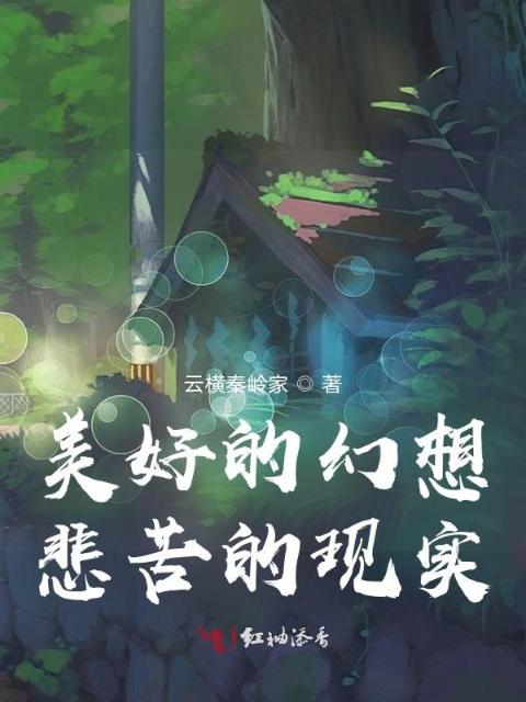 美好的幻想，悲苦的现实