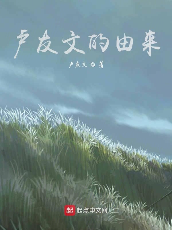 卢友文的由来