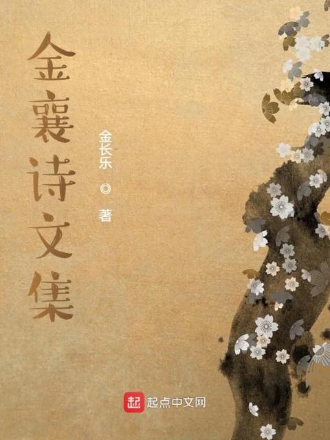 金襄诗文集