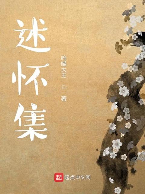 述怀集