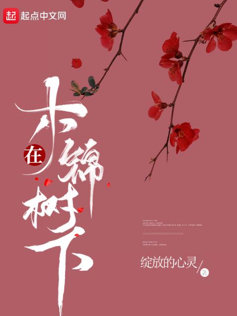 在木棉树下