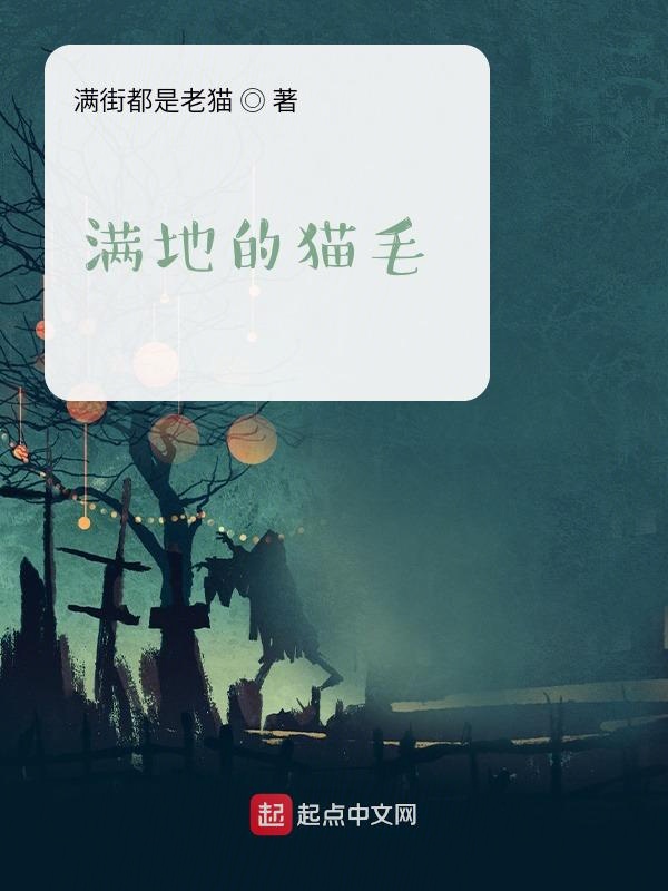 满地的猫毛