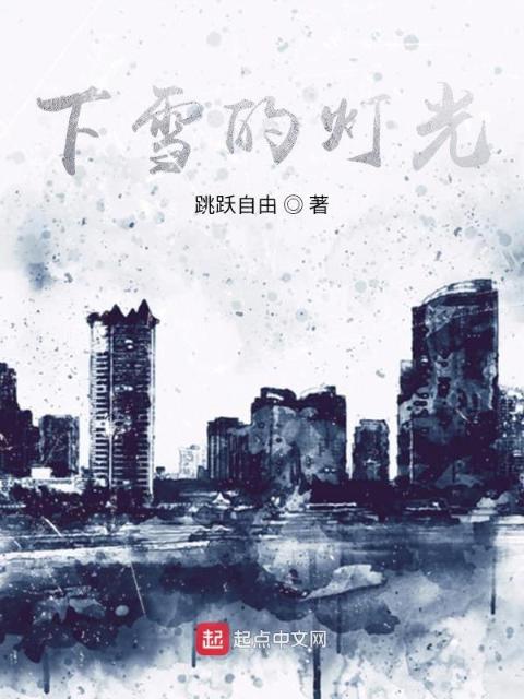 下雪的灯光
