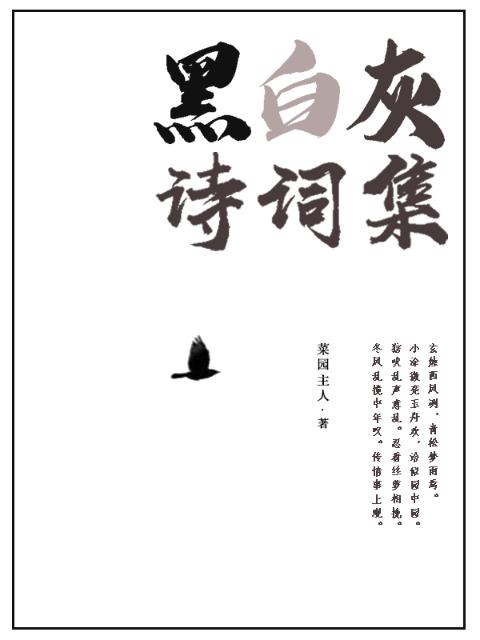 黑白灰诗词集