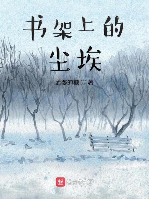书架上的尘埃