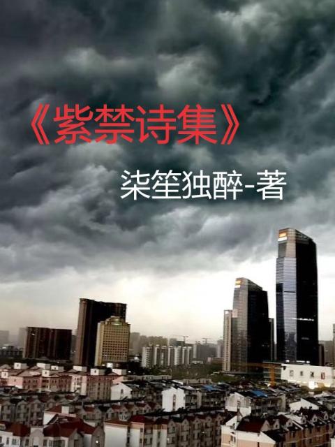 紫禁诗集