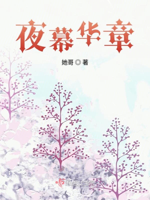 夜幕华章
