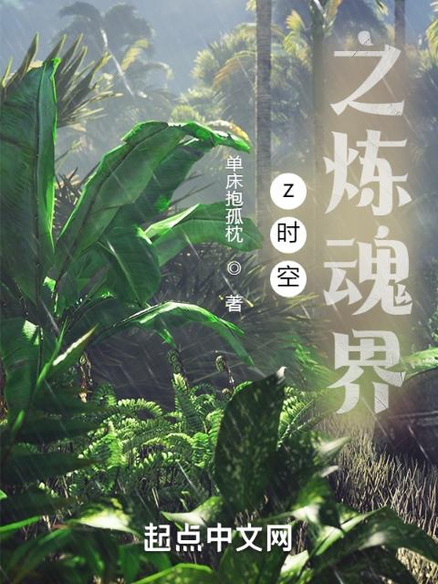 z时空之炼魂界