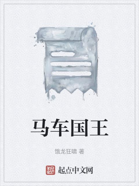 马车国王