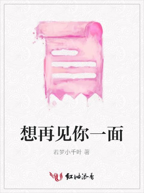 想再见你一面