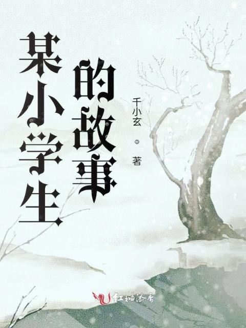 某小学生的故事