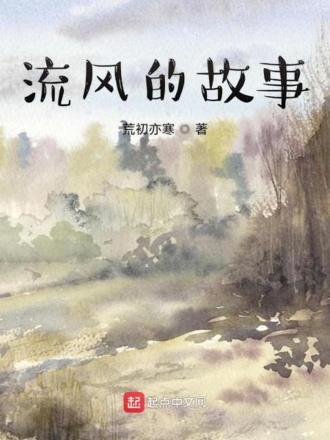 流风的故事