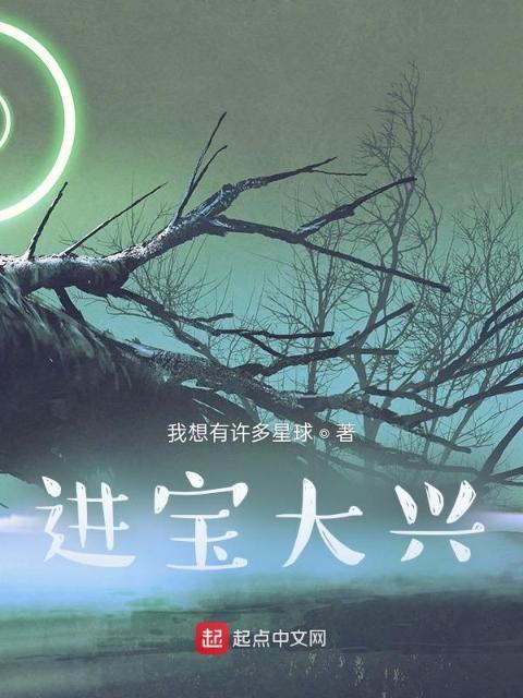 进宝大兴