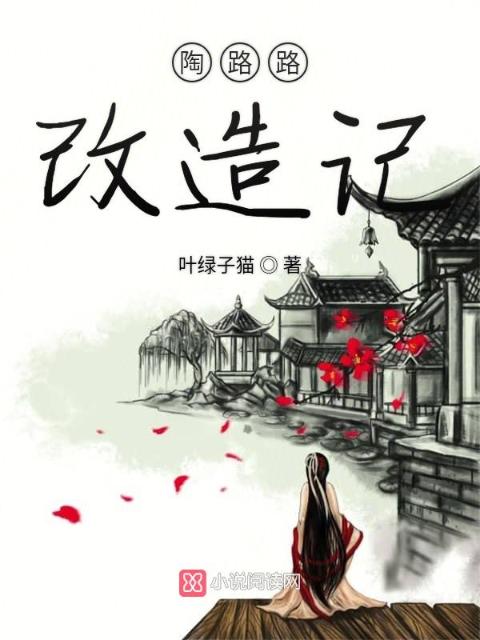 陶路路改造记