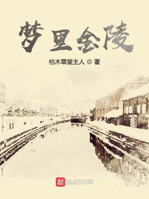 梦里金陵