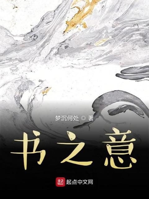 书之意