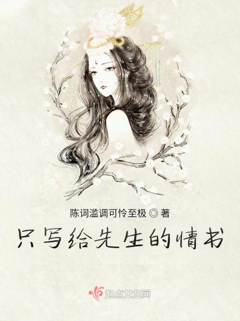 只写给先生的情书