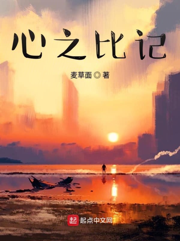 心之比记