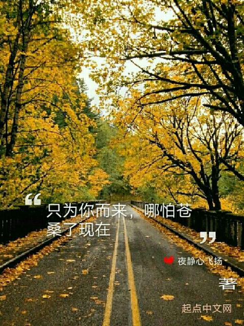 只为你而来，哪怕苍桑了现在