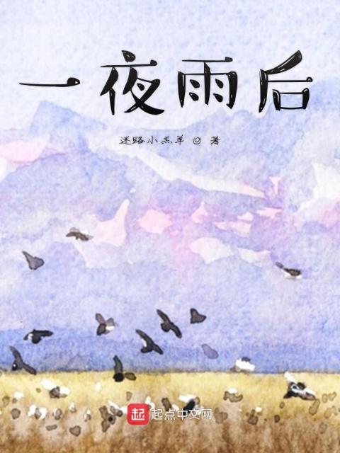 一夜雨后
