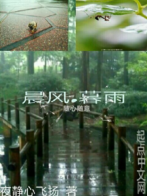 晨风，暮雨