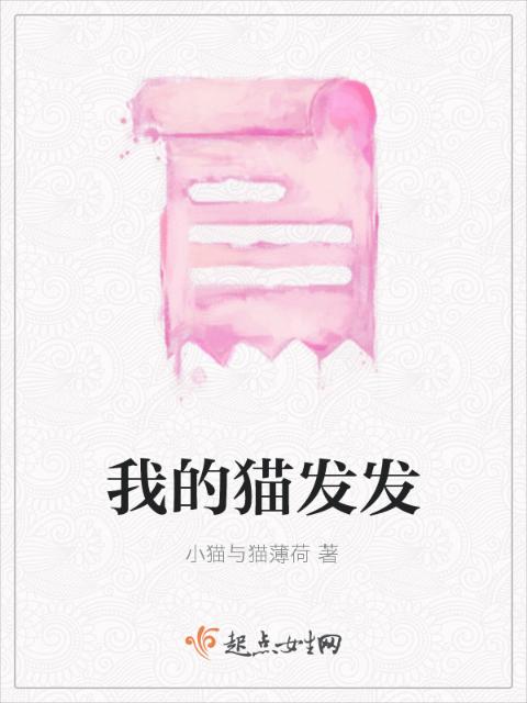 我的猫发发