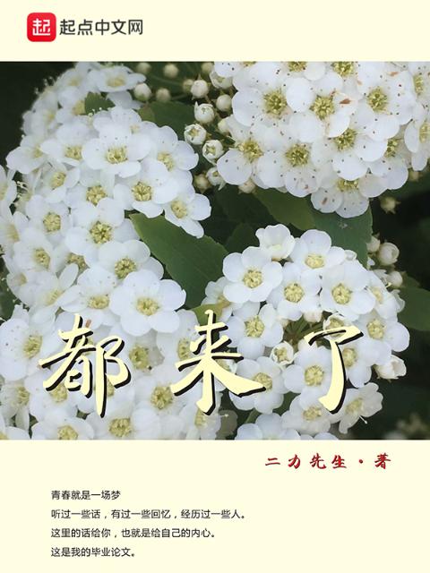 都来了1