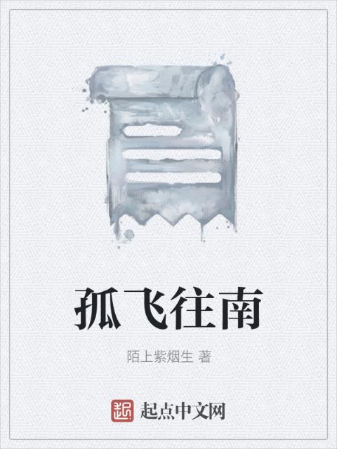 孤飞往南