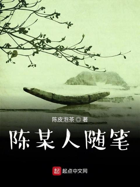 陈某人随笔