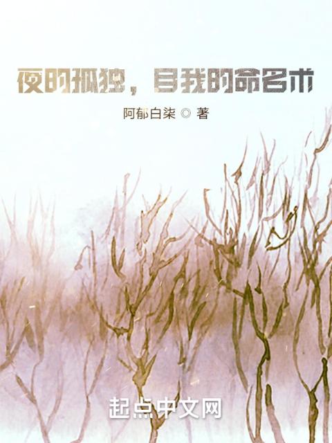 夜的孤独，自我的故事