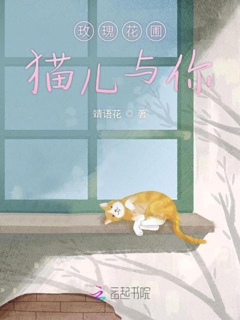 玫瑰花圃猫儿与你