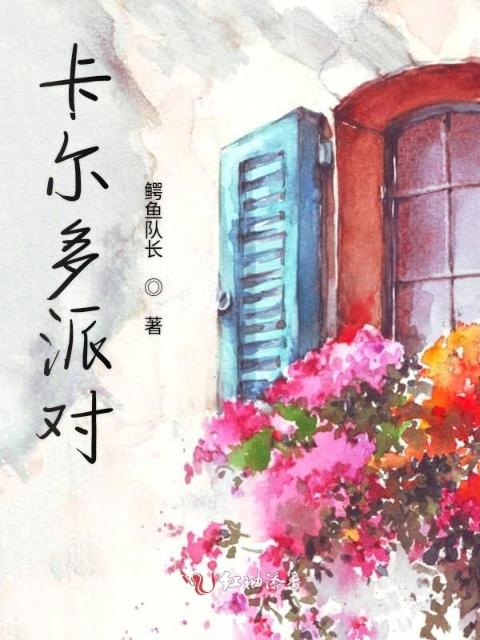 卡尔多派对