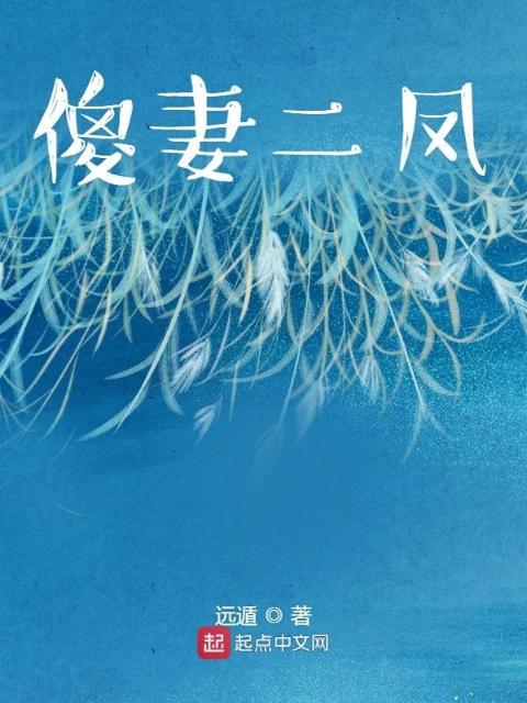 傻妻二凤