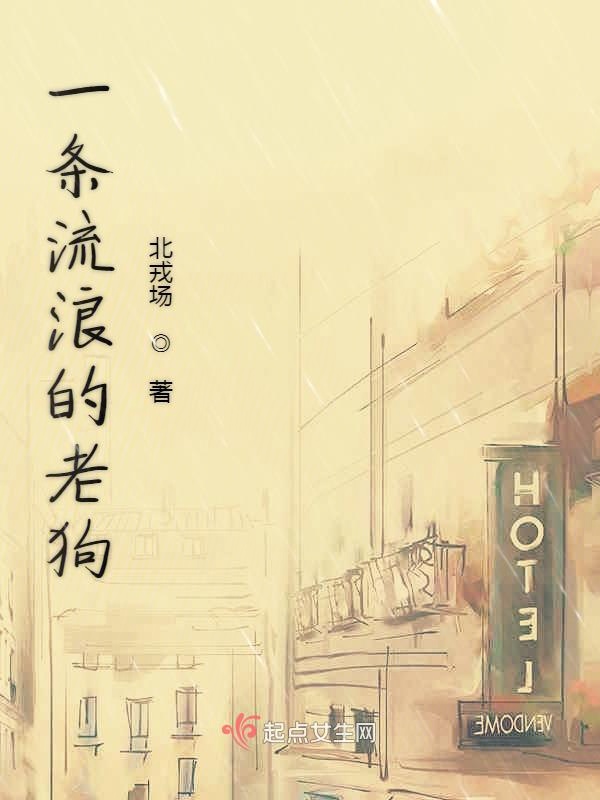 一条流浪的老狗
