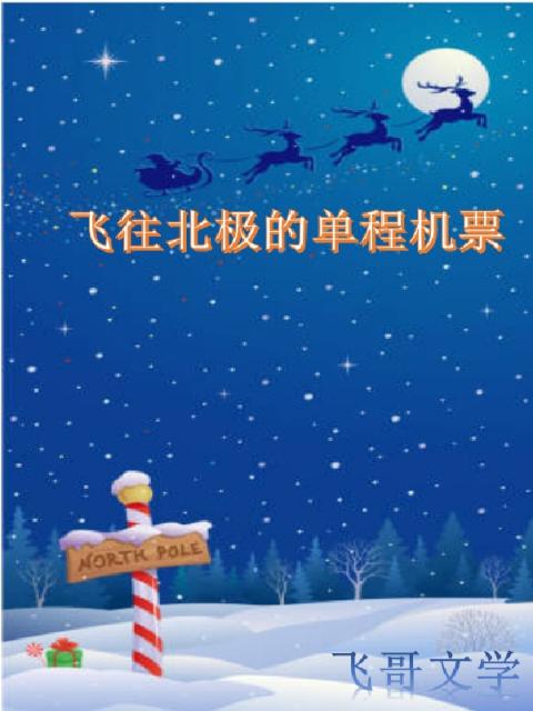 飞往北极的单程机票